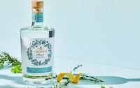 Lighthearted Dry January Campaigns