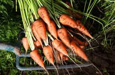 True Carbon-Neutral Carrots