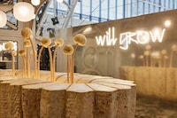 Mushroom-Constructed Room Designs