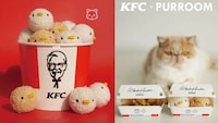 Playful Plush Cat Toys