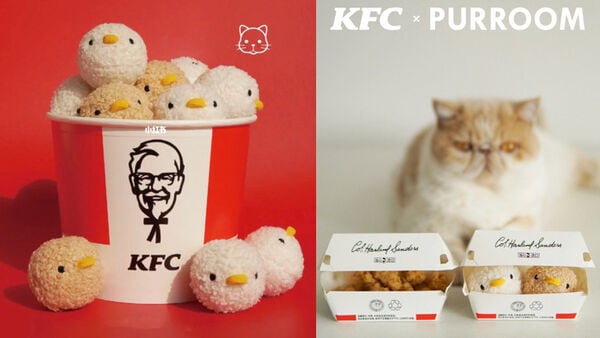 Playful Plush Cat Toys