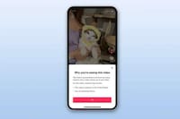 Social Video Algorithm Transparency