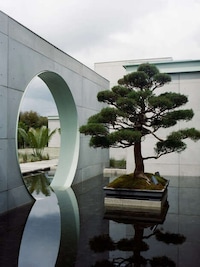 Mountain-Top Tranquil Homes Image 2