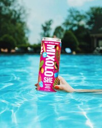 Low Alcohol Beverage Brands Image 3