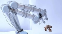 Mycelium-Growing 3D-Printed Scaffolds