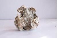 Mycelium-Growing 3D-Printed Scaffolds Image 2