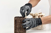 Mycelium-Growing 3D-Printed Scaffolds Image 4