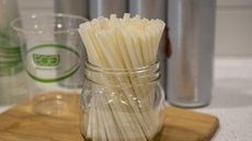 Canola Oil-Based Straws Article Thubnail