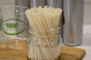 Canola Oil-Based Straws Article Thubnail