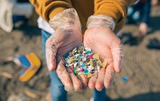 Microplastic-Collecting Bacteria Article Thubnail