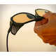 Protective Sunglasses Side Shields Image 4