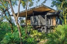 Sustainable Rainforest Green Homes Article Thubnail