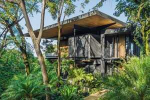 Sustainable Rainforest Green Homes Article Thubnail