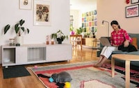 Pet-Friendly Seamless Furniture Image 3