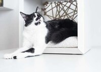 Functional Furniture Cat Houses Image 5