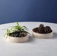 Coffee Grounds-Made Home Accessories Image 2