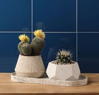 Coffee Grounds-Made Home Accessories Image 5