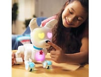 Customizable Robot Dogs