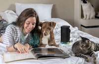 Smartly Designed Water-Resistant Speakers Image 3