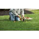 Connected Lawn Care Solutions Image 2