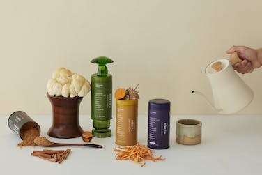 Adaptogenic Mushroom Powders