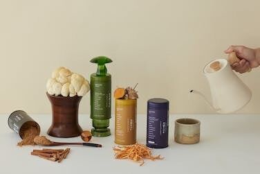Adaptogenic Mushroom Powders