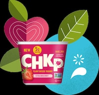 Chickpea-Based Yogurt Expansions