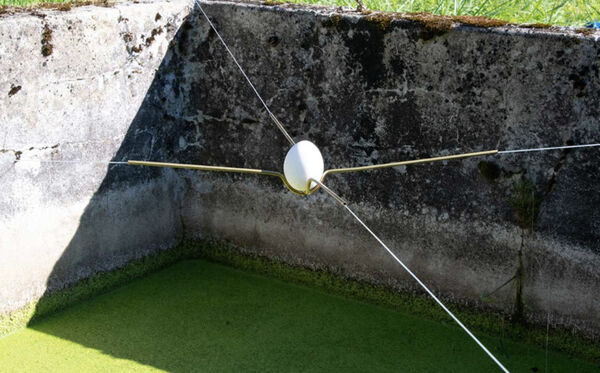Minimalist Experimental Egg Racks Image 2
