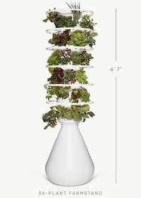 Modern Indoor Farm Stands Image 1