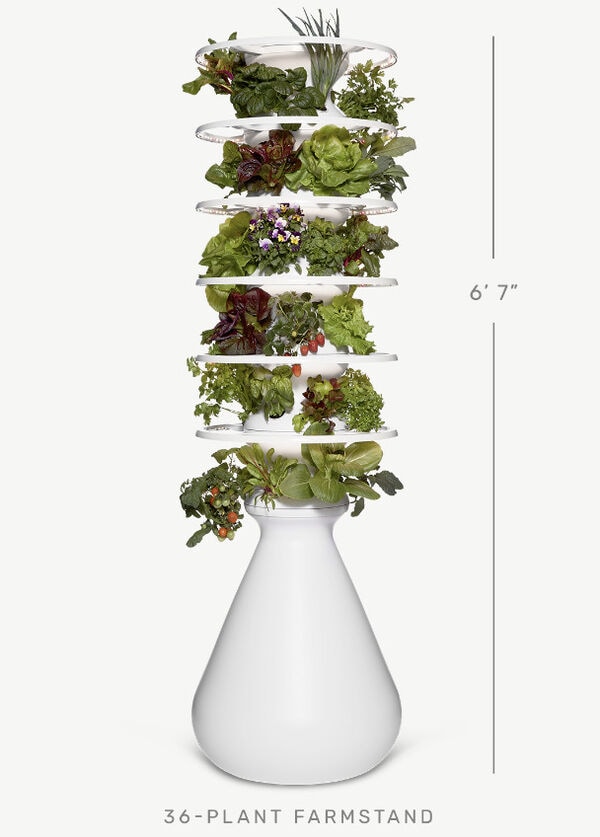 Modern Indoor Farm Stands