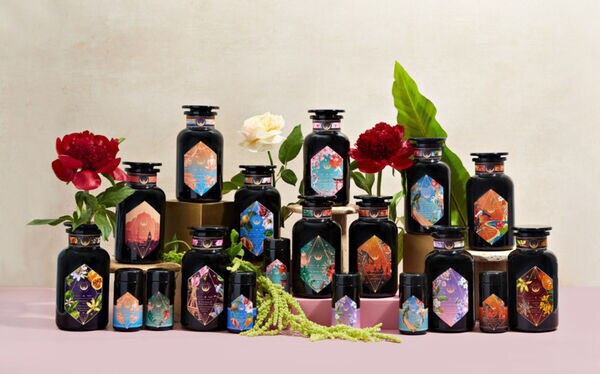 Travel-Inspired Tea Collections