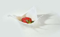 Lifestyle-Conscious Dairy Products Image 1