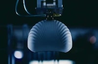 Scallop Shell-Constructed Helmets Image 1
