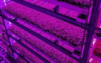 Tech-Driven Farming Partnerships Image 1