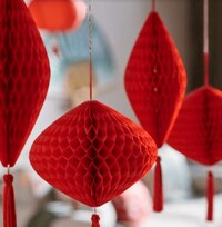 Lunar New Year Decor Image 2