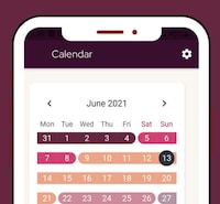 Menstruation-Centric Planner Apps