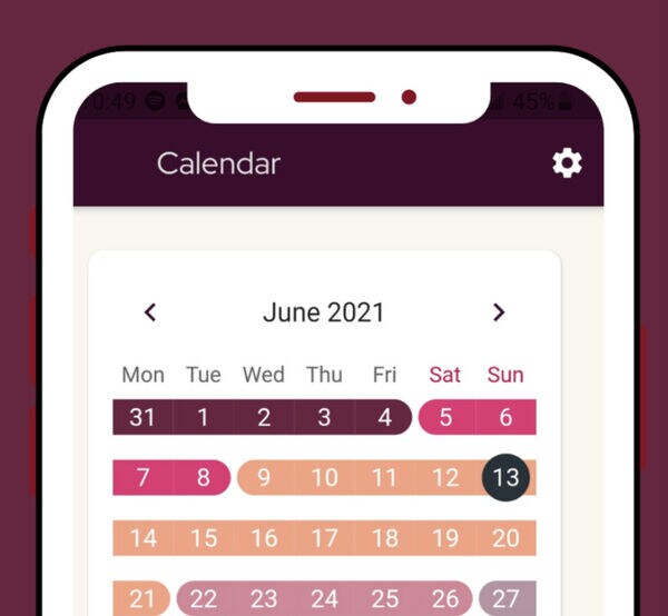 Menstruation-Centric Planner Apps