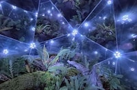 Impressive DIY Terrariums Image 2