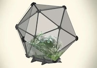 Impressive DIY Terrariums Image 3