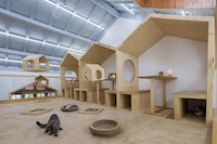Cat-Focused Wooden Cafes Image 2