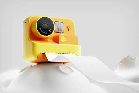 Playful Thermal Printer Cameras