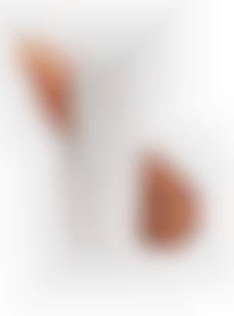 Radiance-Boosting Tinted Moisturizers