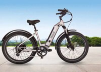 Versatile Multi-Use E-Bikes Image 2