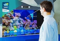 Eye-Tracking Informational Aquariums Image 2