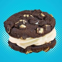 Frozen Custard Cookie Sandwiches
