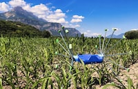Crop-Scouting Robots Image 4