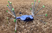 Crop-Scouting Robots Image 5
