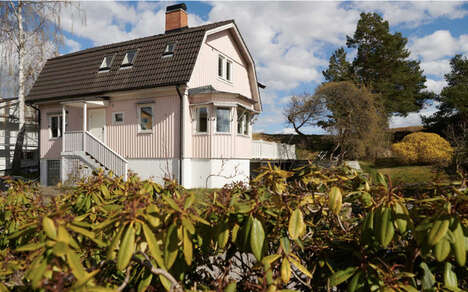 Elevated Design-Forward Pink Houses