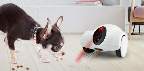 Robotic Pet Companions