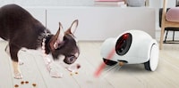 Robotic Pet Companions Image 1